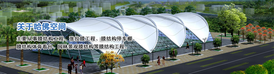 深圳張拉膜的理念與思路